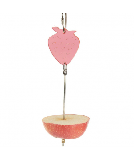 Parrot-Supplies Treat Skewer Spear Fruit & Vegetable Holder 